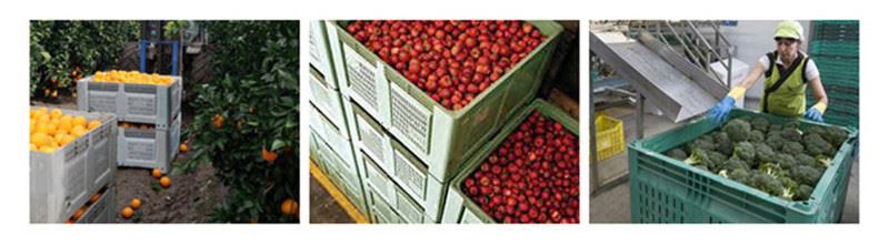 48x40 Mega Bin Pallet Bin