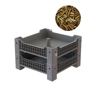 صندوق PP البلاستيك لدودة الوجبة